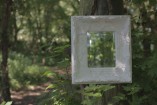 Mirror In The Forest